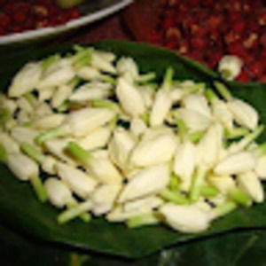 Meet your Posher, Mohamed